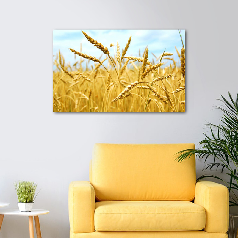 تابلو شاسی عرش مدل منظره زیبا گندم زار کد As2810