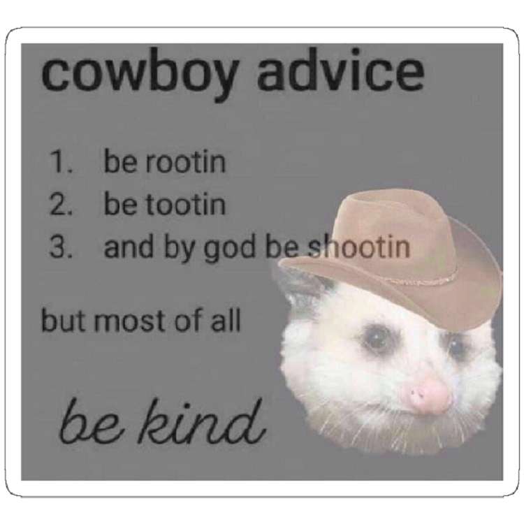 استیکر لپ تاپ مدل cowboy advice
