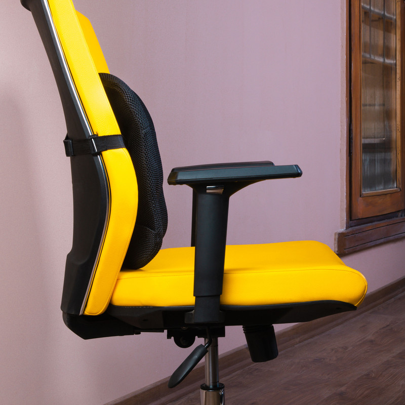 پشت کمری باراد مدل LS1