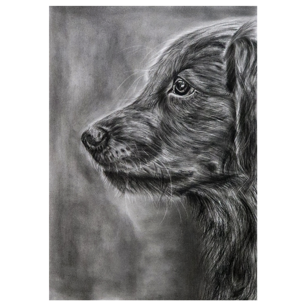 نقاشی سیاه قلم طرح سگ مدل 979237