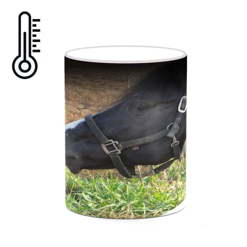 ماگ حرارتی کاکتی مدل اسب کد mgh19245