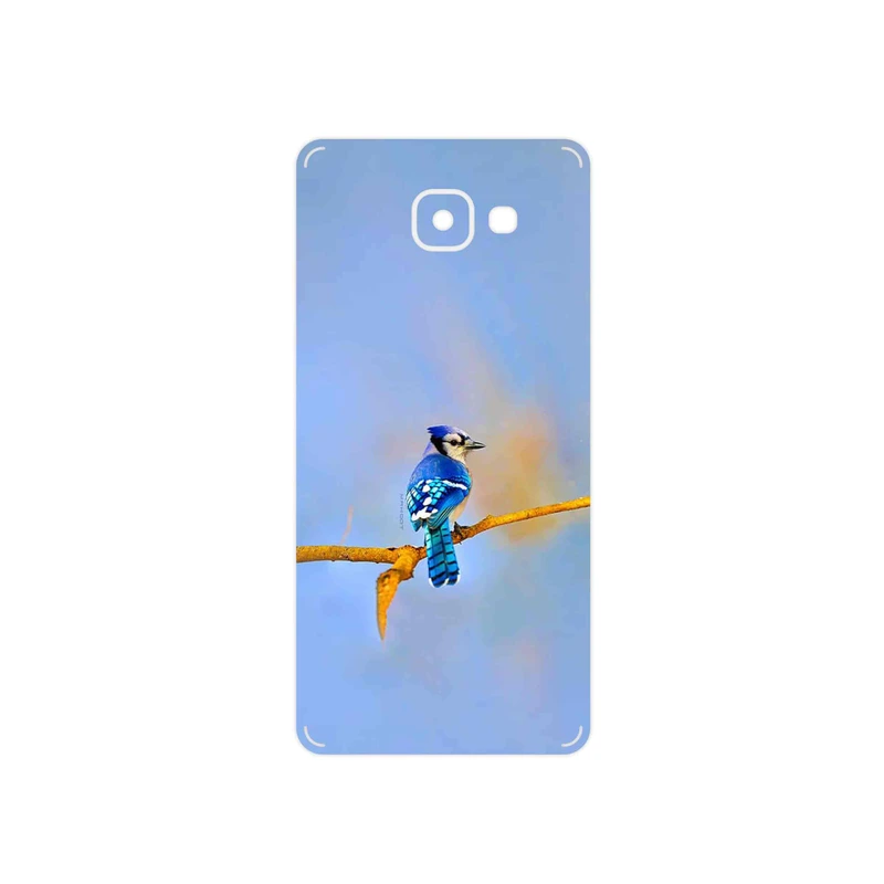برچسب پوششی ماهوت مدل Cyanocitta cristata مناسب برای گوشی موبایل سامسونگ Galaxy A7 2016