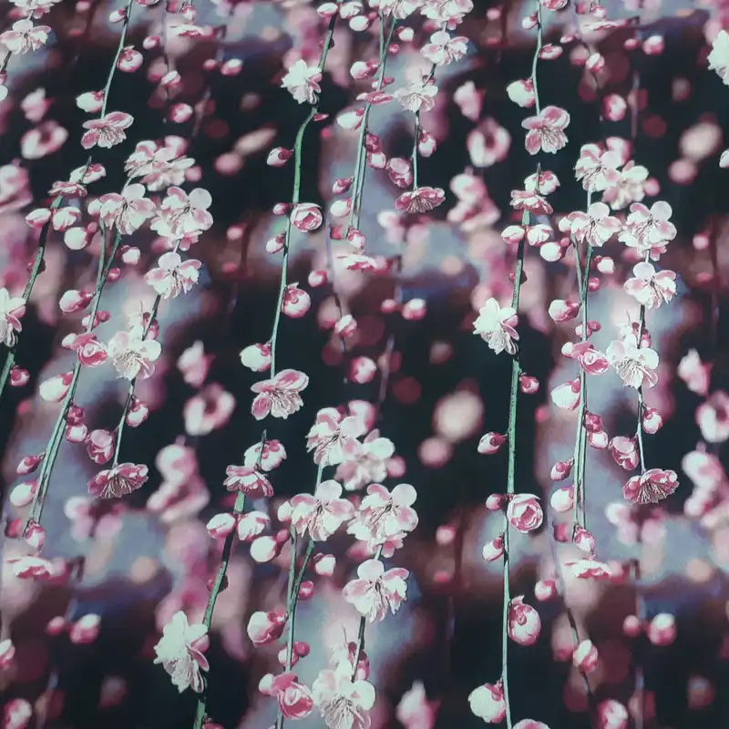 پارچه لباس مدل بوگاتی سه بعدی