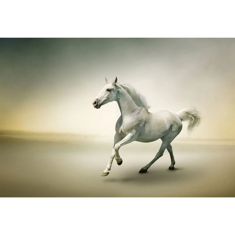 مگنت طرح حیوان اسب مدل T1320