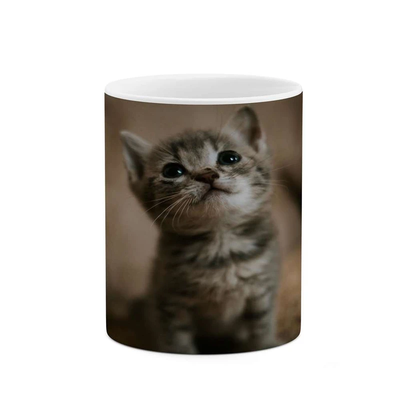 ماگ کاکتی مدل گربه کد mgh14521