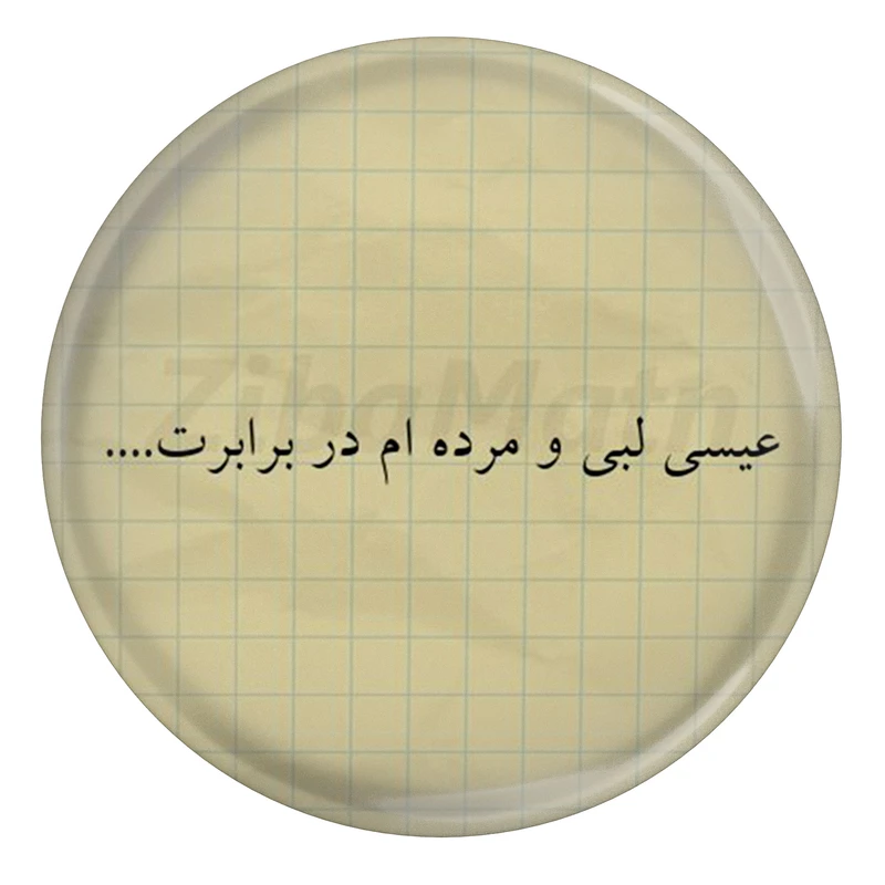 مگنت مدل S13895 طرح شعر خاقانی عیسی لبی و مرده ام در برابرت