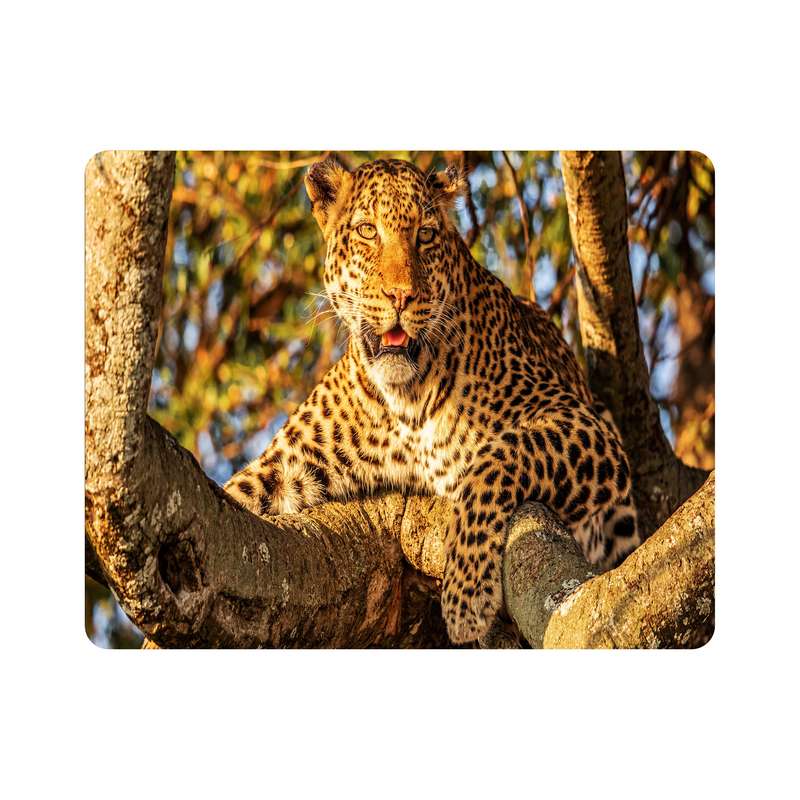 ماوس پد اطلس آبی طرح پلنگ روی شاخه درخت مدل T7655