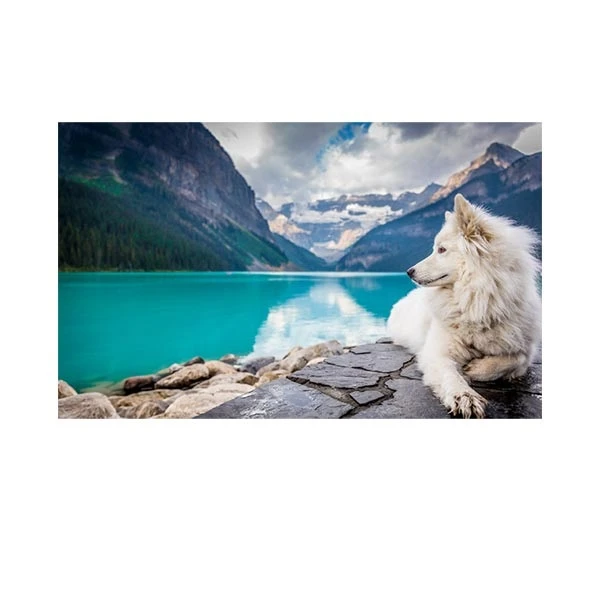    پادری طرح حیوانات کد M35M001-MA0096 سایز 76x46 سانتی متر