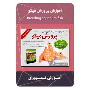 ویدئو آموزش پرورش میگو نشر برج