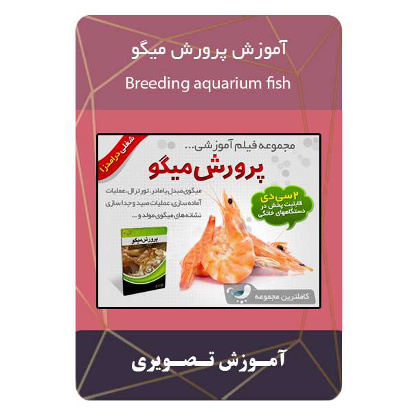 ویدئو آموزش پرورش میگو نشر برج ویدئو آموزش پرورش میگو نشر برج