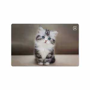 MAHOOT Cat-2 Cover Sticker for Samsung Galaxy Tab A7 10.4 LTE 2020 T505