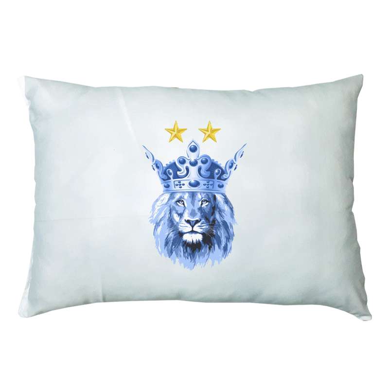 بالش مدل استقلال