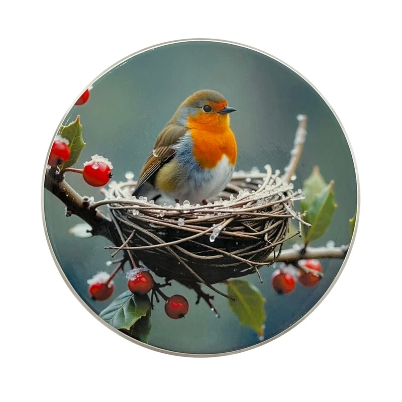 بشقاب دیوارکوب سفالی طرح پرنده کد 2020