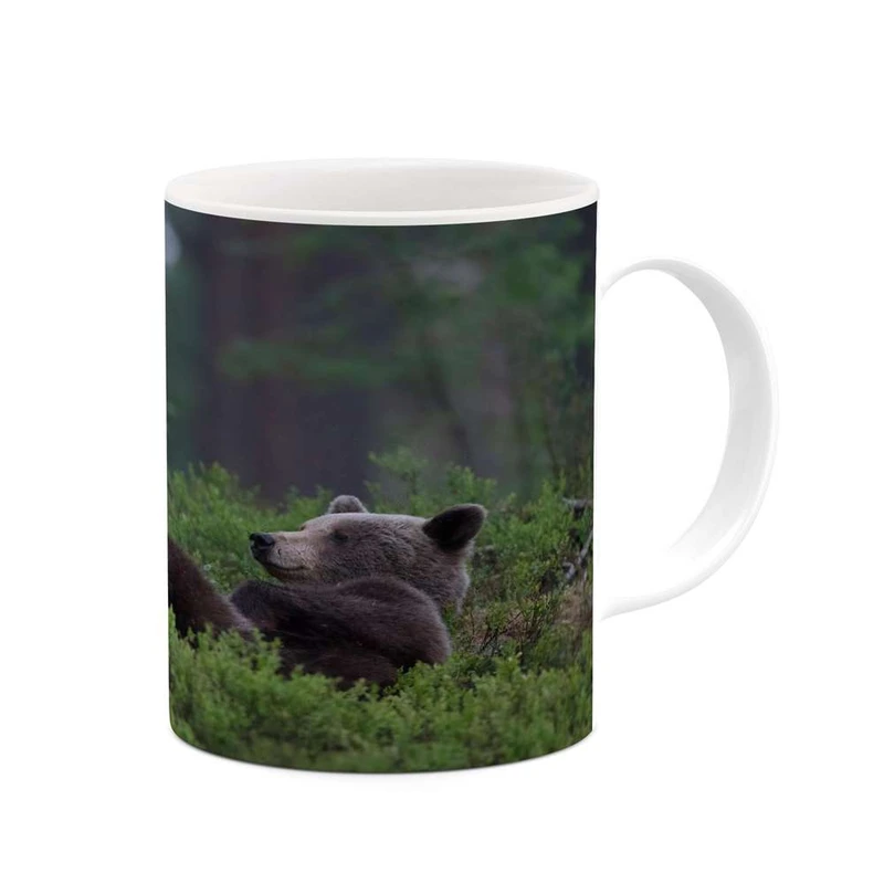 ماگ کاکتی مدل خرس کد mgh14165