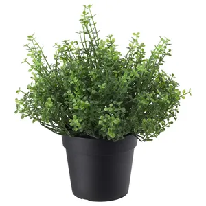 گل مصنوعی ایکیا مدل FEJKA 