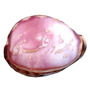 صدف تزئینی مدل HS110