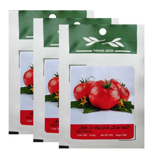 بذر گوجه فرنگی بوته ای رویال وانیا سید کد G40 مجموعه 3 عددی
