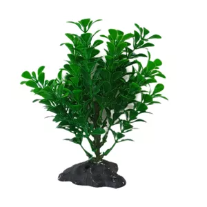 گیاه تزیینی آکواریوم مدل درختچه کد 240