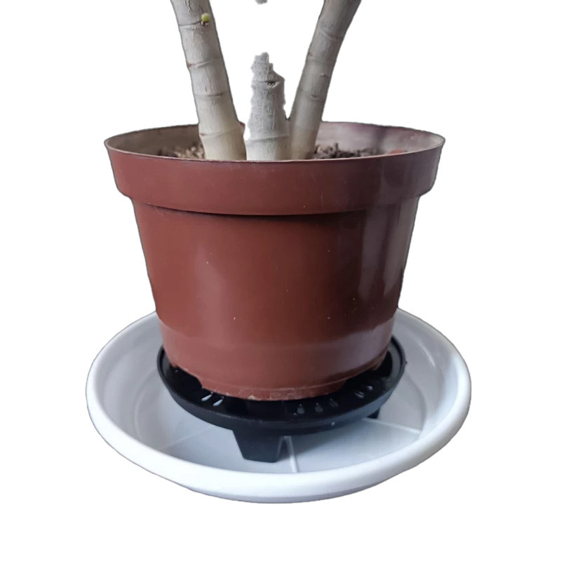 زیرگلدانی مدل جزیره کد 16.5cm بسته دو عددی