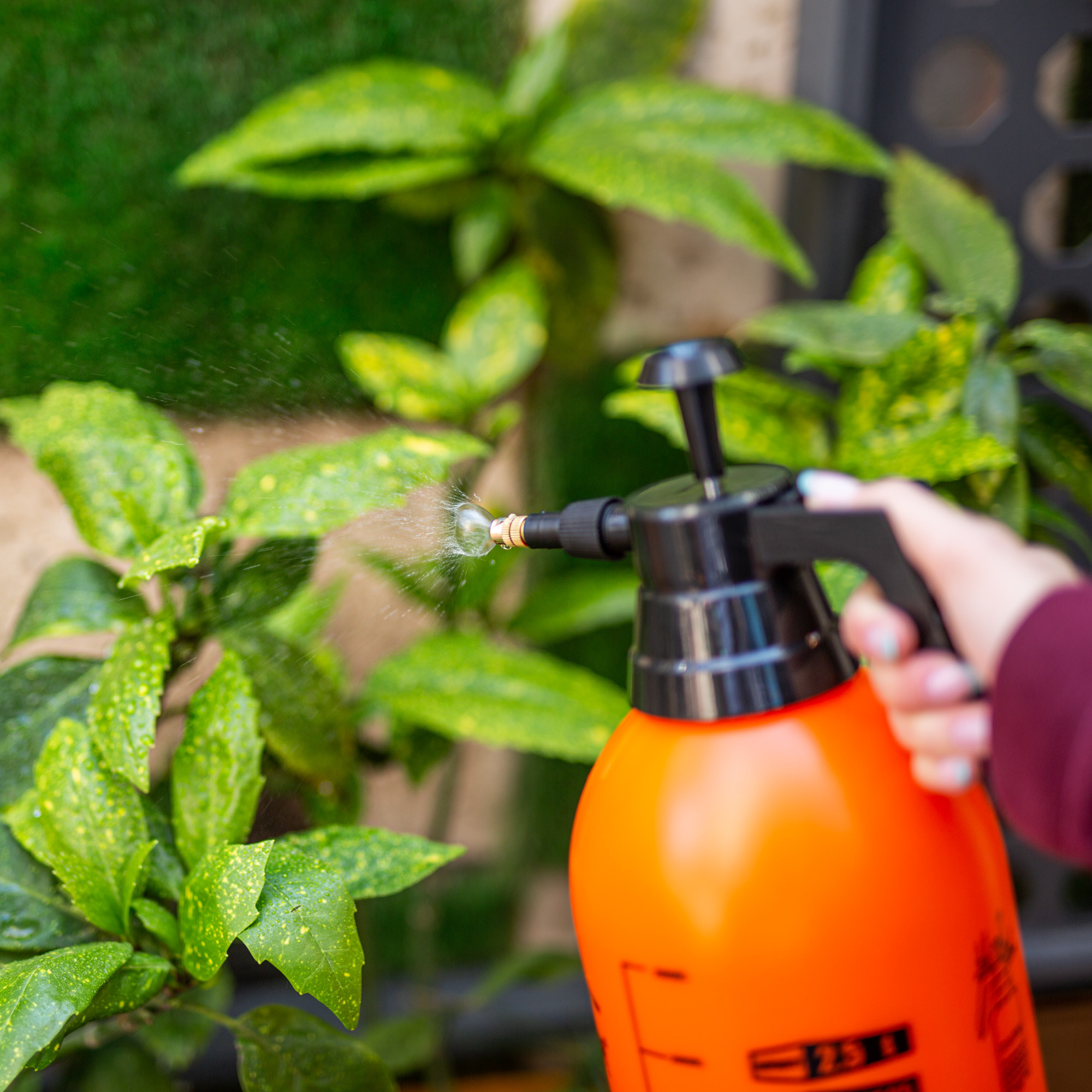 سمپاش شیلدر مدل SH-2525 گنجایش 2.5 لیتر