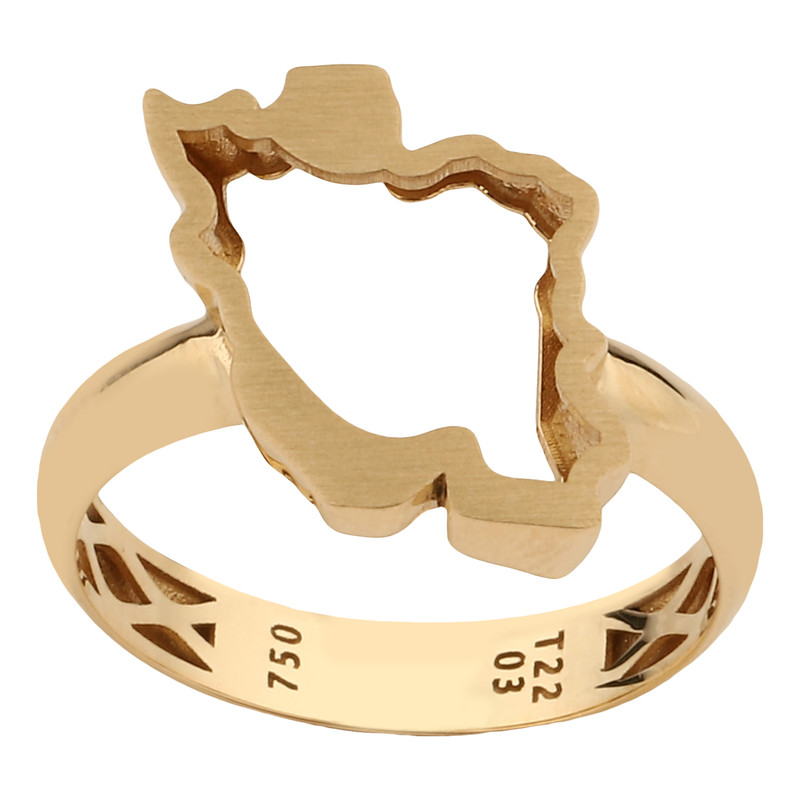 انگشتر طلا 18 عیار زنانه صلاحی گلد مدل 18250 سایز 55