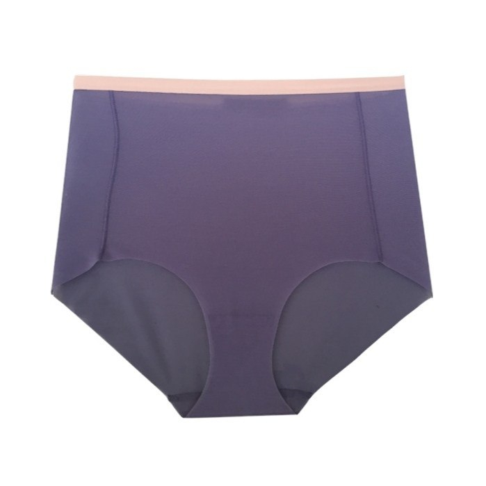 شورت گنى زنانه تريومف مدل Aloe100