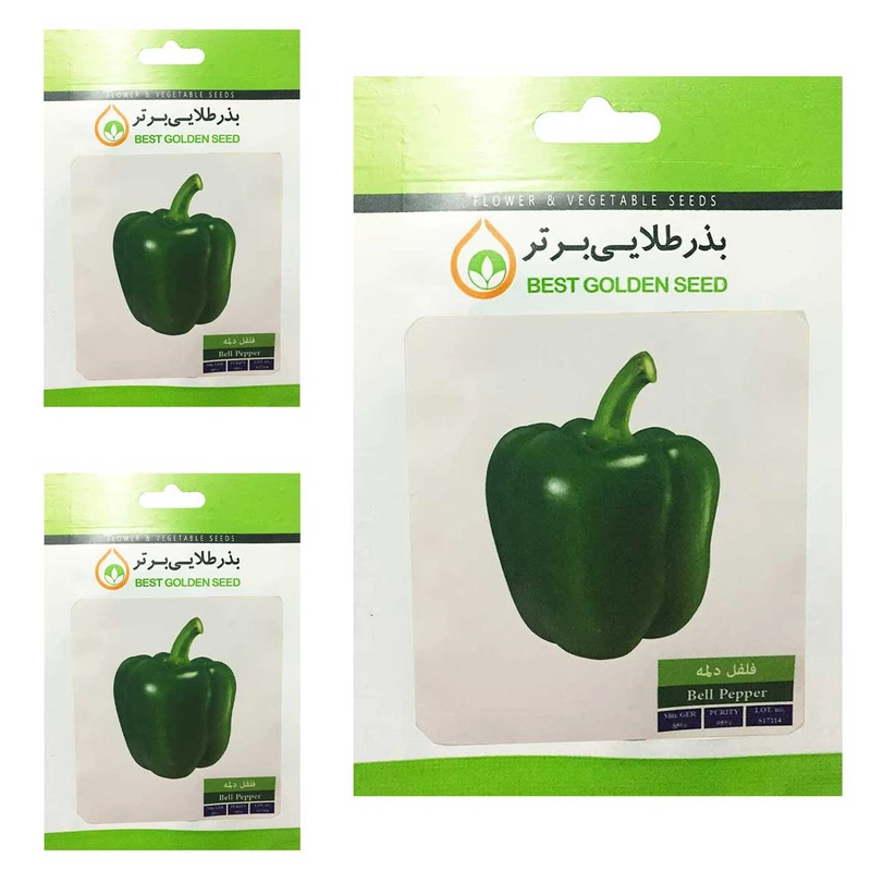 بذر فلفل دلمه بذر طلایی برتر کد BTB-64 مجموعه 3 عددی
