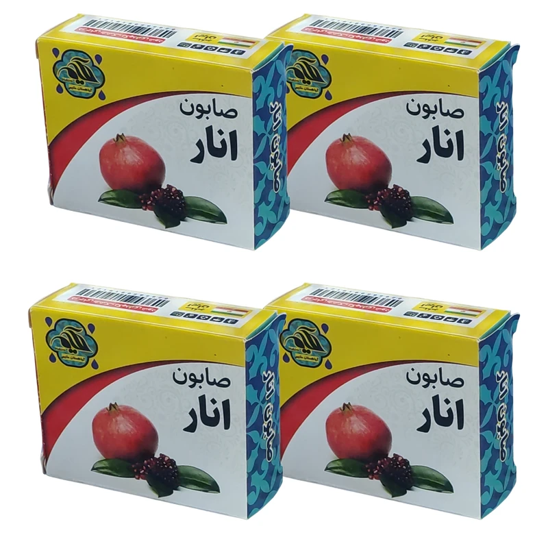 صابون شستشو گیاهستان حکیم مدل انار وزن 70 گرم بسته 4 عددی
