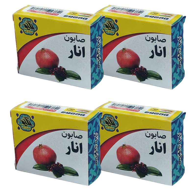 صابون شستشو گیاهستان حکیم مدل انار وزن 70 گرم بسته 4 عددی صابون شستشو گیاهستان حکیم مدل انار وزن 70 گرم بسته 4 عددی