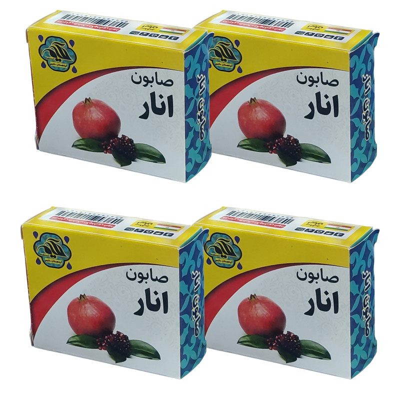 صابون شستشو گیاهستان حکیم مدل انار وزن 70 گرم بسته 4 عددی صابون شستشو گیاهستان حکیم مدل انار وزن 70 گرم بسته 4 عددی