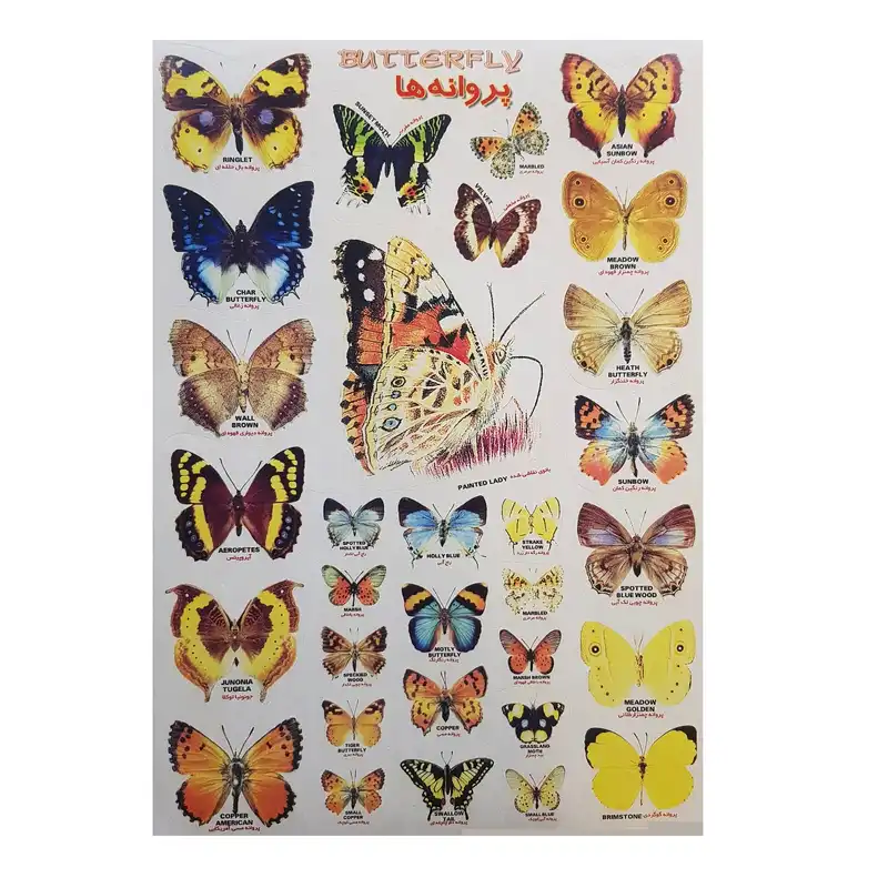 برچسب مدل پروانه ها کد BP2