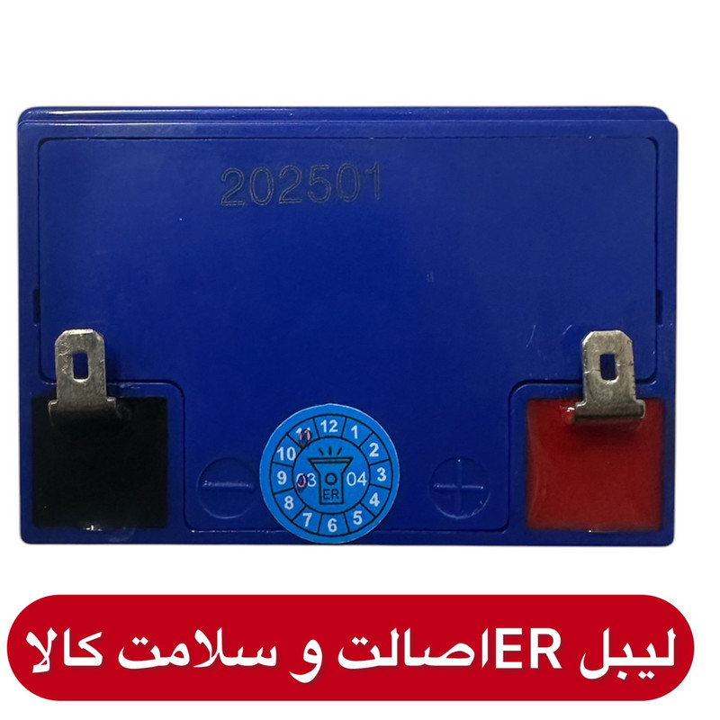 باتری وی پی اس 4 ولت 6 آمپر  ساعت ام ال جی مدل MLG 4-6
