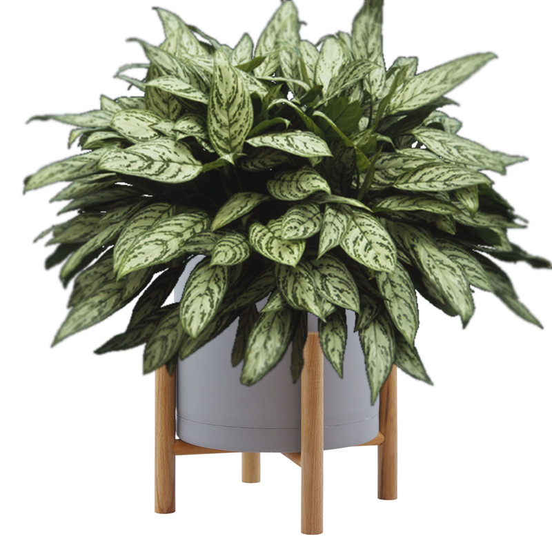 گلدان مدل Nextwood 20SL