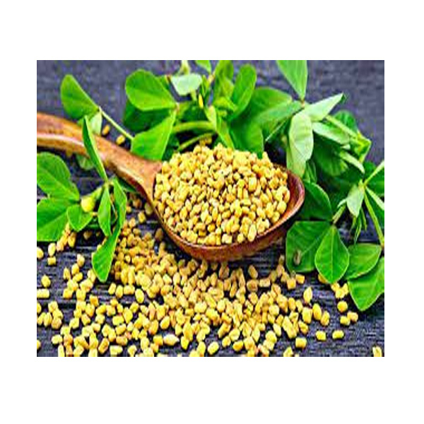 تخم شنبلیله دهکده سبز سلامت - 100 گرم