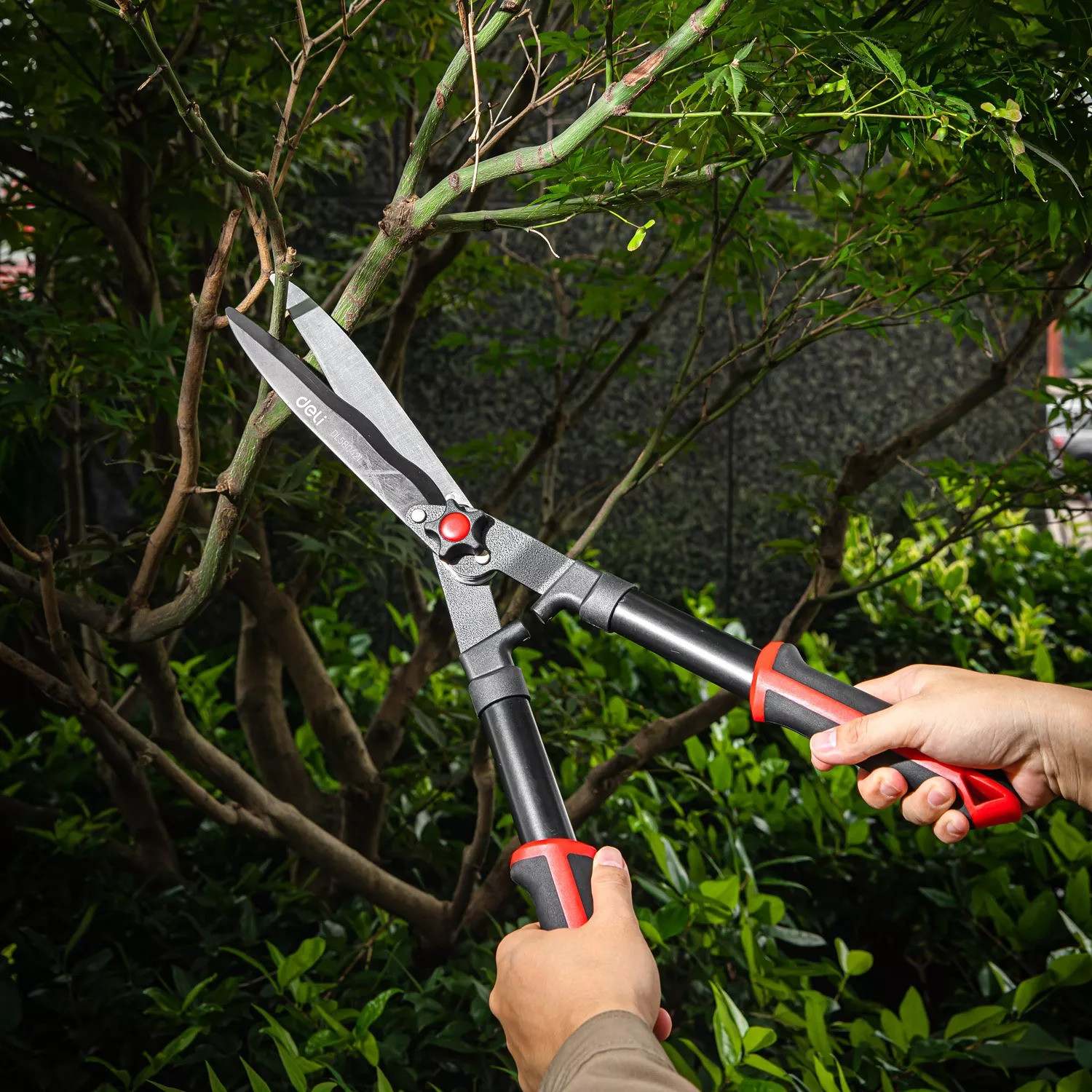 قیچی شمشاد زنی دلی مدل DL580421