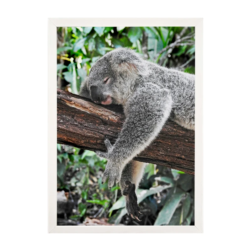 تابلو مدل دیواری طرح کوالا کد EA-1177