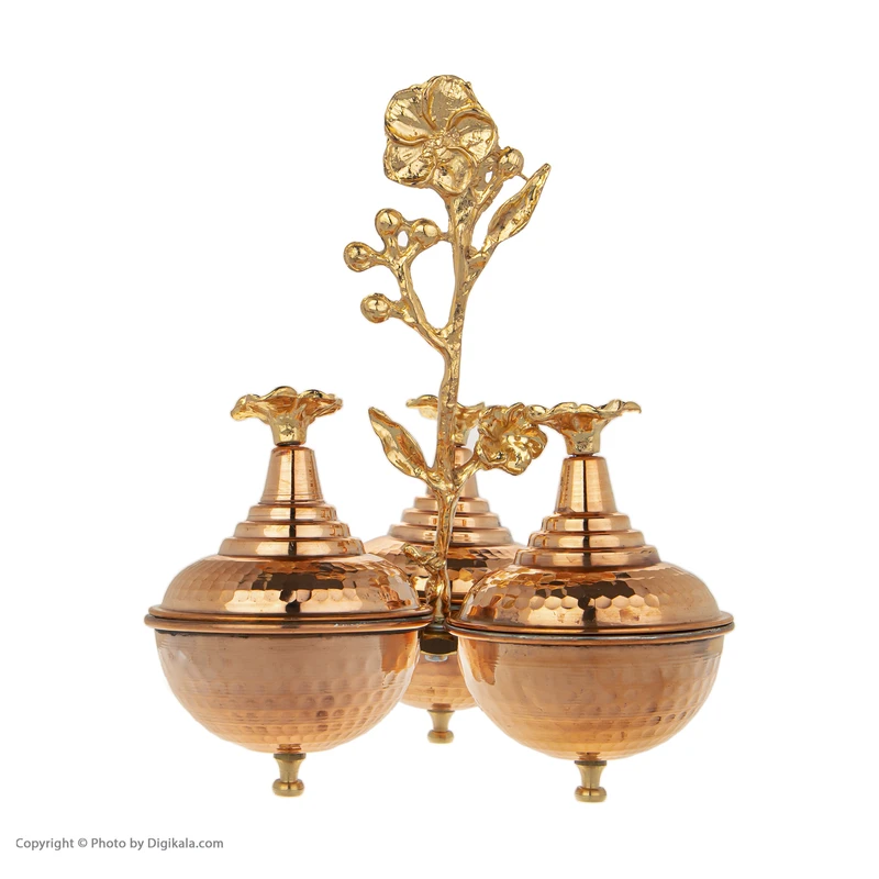 عکس شماره 5 : اردورخوری مسی کد 001