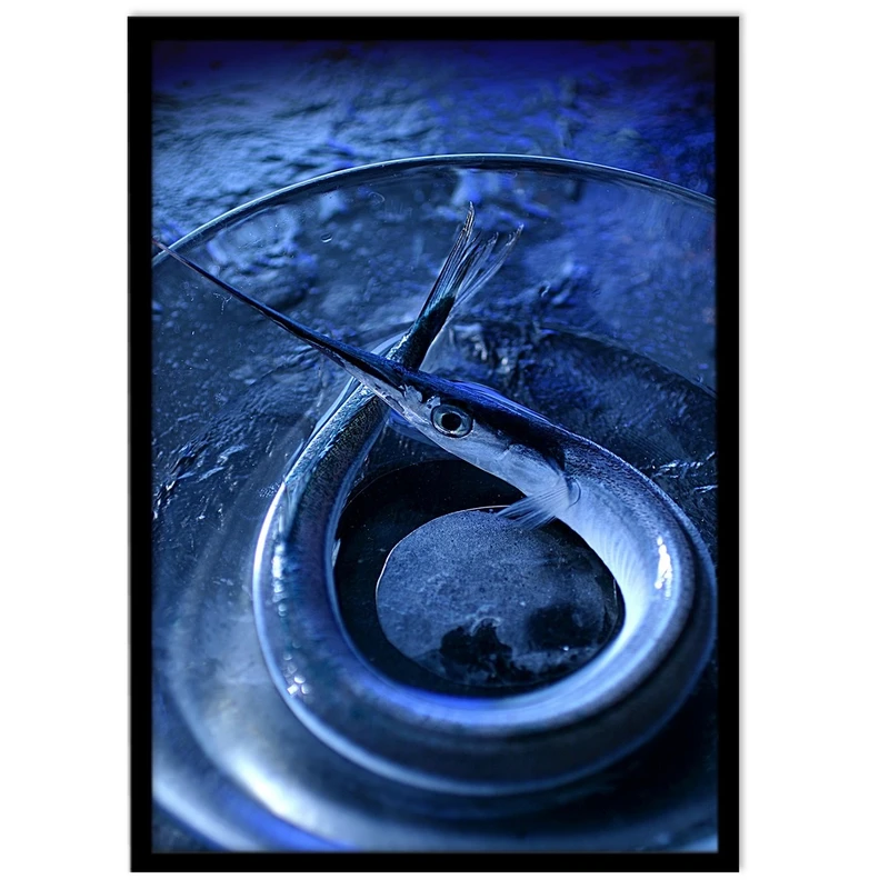 تابلو نوری بکلیت طرح عکاسی تبلیغاتی ماهی مدل B-S316