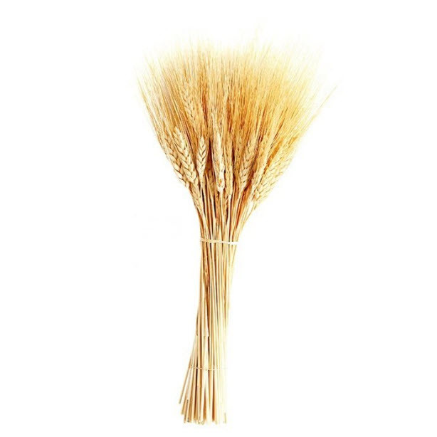 دسته گل خشک مدل خوشه گندم مجموعه دو عددی