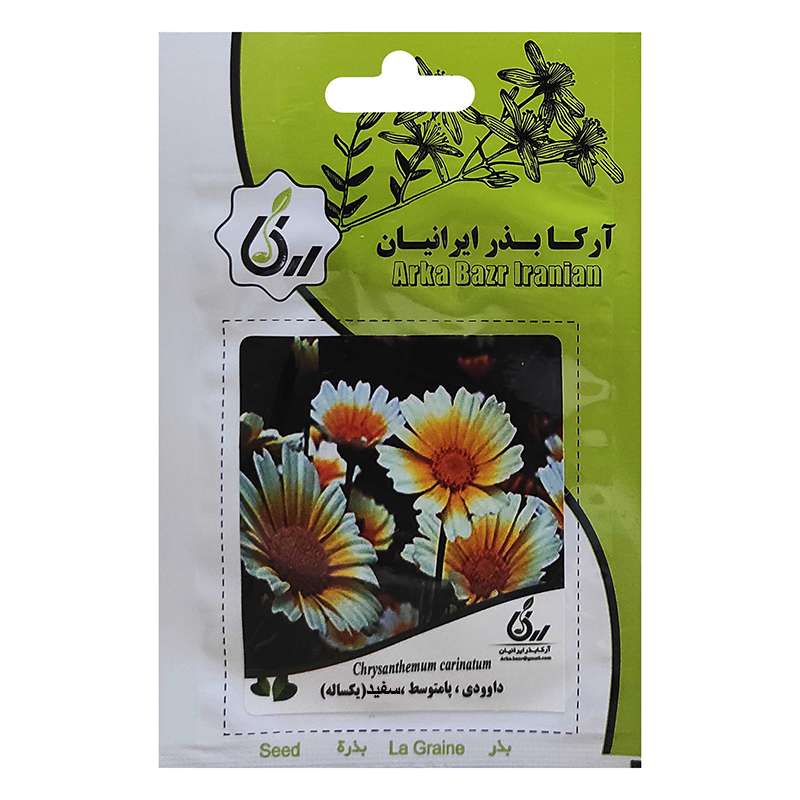 بذر گل داوودی پامتوسط سفید آرکا بذر ایرانیان کد 87
