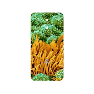 MAHOOT Atom Universe 6 Cover Sticker for GLX Aria