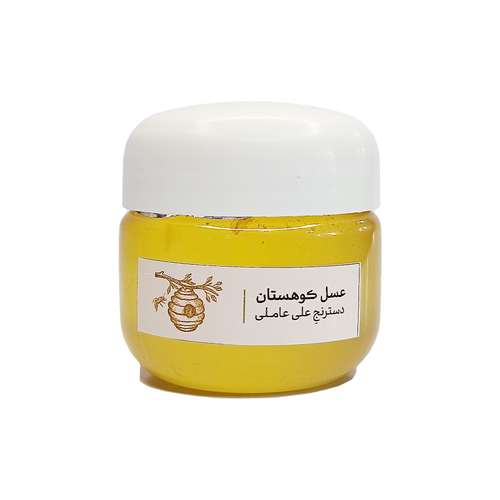عسل کوهستان علی عاملی کشمون  - 100 گرم
