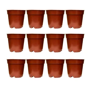 گلدان مدل A-06 بسته 12 عددی