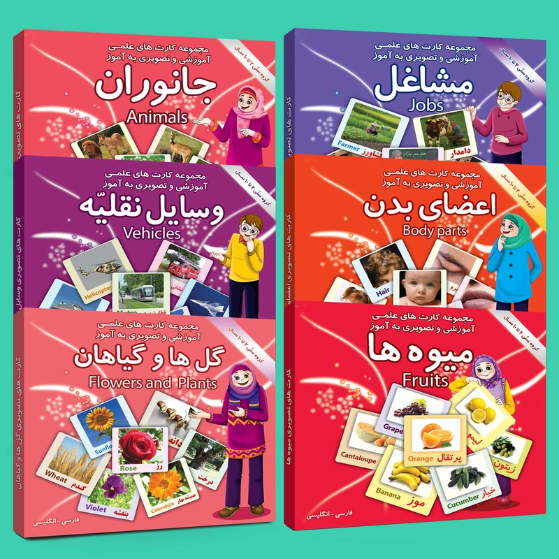 فلش کارت های علمی آموزشی و تصویری 2 تا10 سال انتشارات امین آذر مجموعه 6 عددی