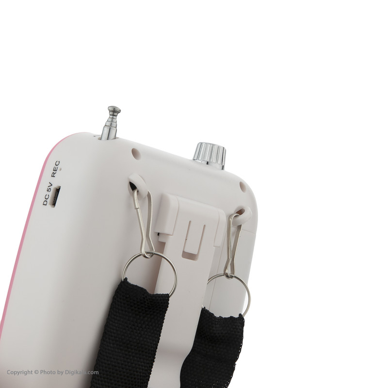 آمپلی فایر قابل حمل نیوگود مدل VA-3