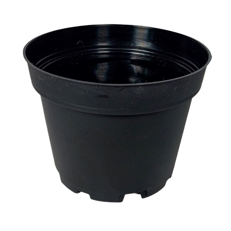 گلدان مدل چنار کد M1