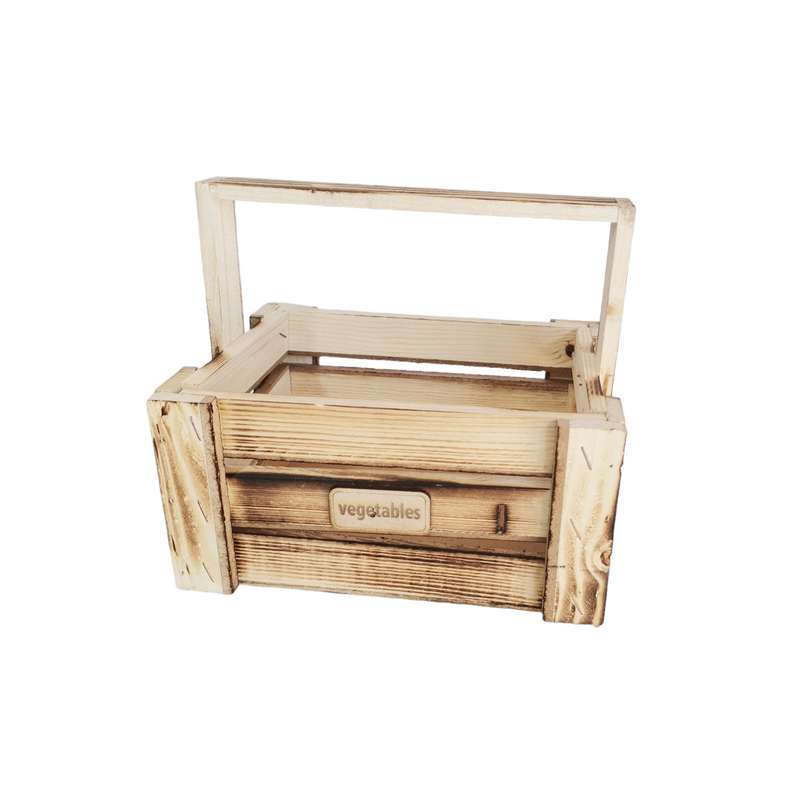 ارگانایزر مدل vegtable