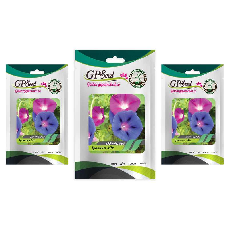 بذر گل نیلوفر رونده الوان گلبرگ پامچال مدل A9 مجموعه 3عددی بذر گل نیلوفر رونده الوان گلبرگ پامچال مدل A9 مجموعه 3عددی