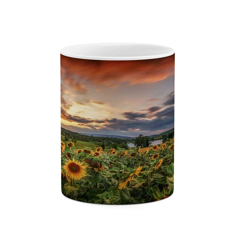 ماگ کاکتی مدل منظره کد mgh13284