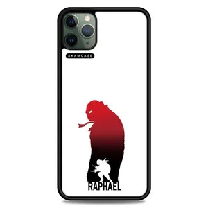 AKAM AMC-WA11PROMAX-NINJA TURTLES7 Cover For Apple iPhone 11 Pro Max